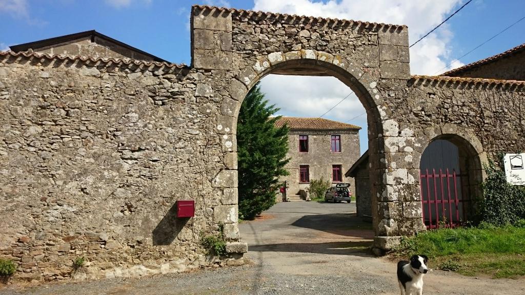 Bed and Breakfast Logis De Riparfonds Bressuire Esterno foto